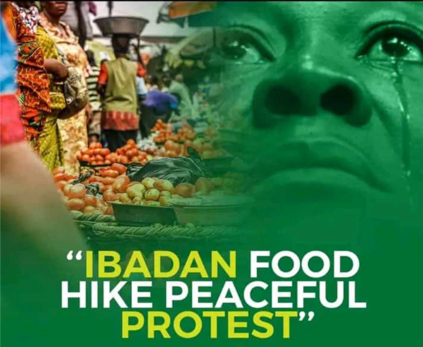 Screenshot 2024 02 20 at 00.32.30